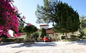 Alonia Villas