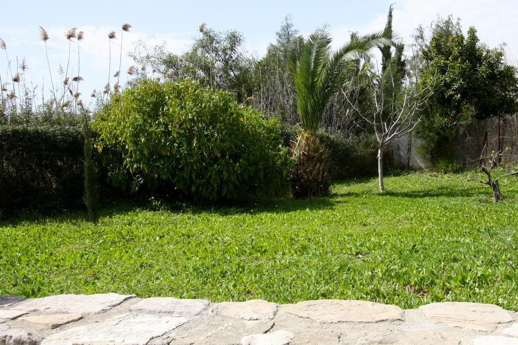 Alonia Villas Pissouri Exterior photo